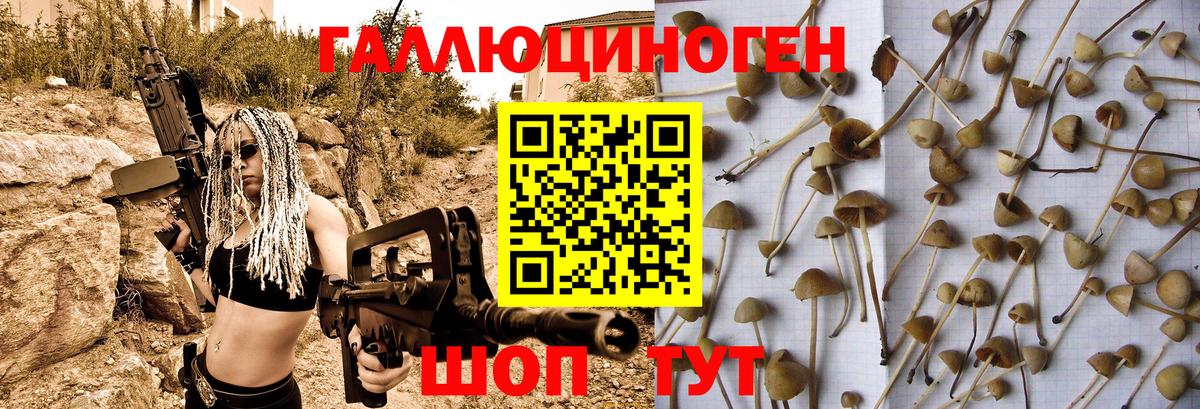 Псилоцибиновые грибы мицелий Воскресенск